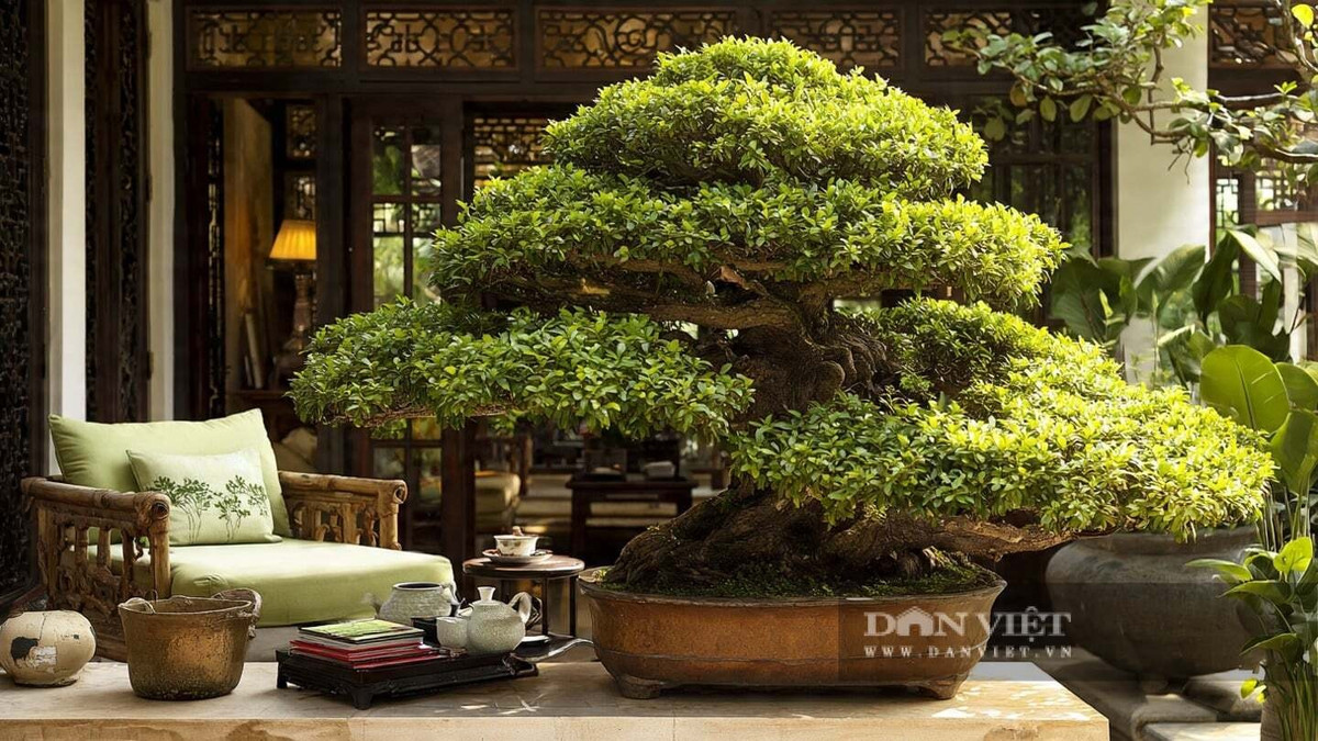 Mỗi lần tỉa cành cho cây cảnh đều góp phần vào câu chuyện cùng nhau trưởng thành