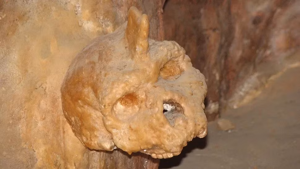 Hộp sọ bí ẩn trên măng đá tại hang động Petralona ở Hy Lạp được phát hiện vào năm 1960. Kể từ đó, các nhà nghiên cứu nỗ lực giải mã bí ẩn về hộp sọ này cũng như vị trí trong cây phả hệ của loài người. Ảnh: By Nadina, CC BY-SA 3.0.