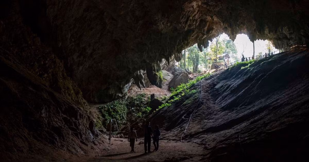 Theo nhà cổ nhân chủng học Stringer, hộp sọ Petralona, ​​đôi khi được gọi là "người Petralona", gần như chắc chắn là của nam giới dựa trên kích thước và độ chắc chắn của hóa thạch. Ông cũng cho biết thêm răng của hộp sọ bị mòn ở mức độ vừa phải nên có khả năng thuộc về một người trưởng thành trẻ tuổi. Ảnh: skaman306.