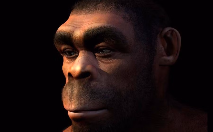 Phát hiện mới cho thấy người Homo erectus có đủ kỹ năng để chế tạo và sử dụng công cụ tinh xảo, sắc bén. Ảnh: ancient-origin.