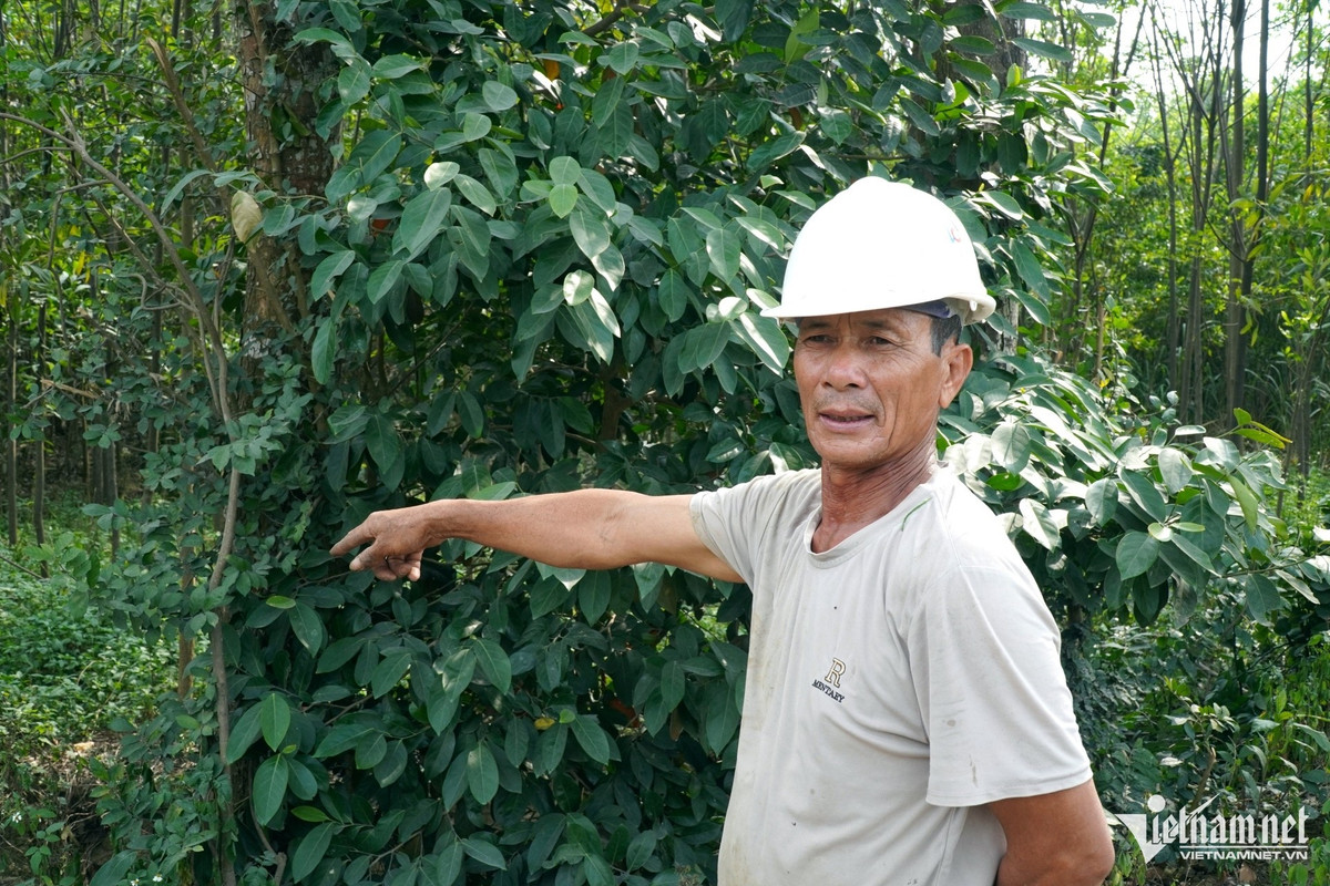 Ông Hưng bức xúc vì bãi rác gây ô nhiễm ra môi trường. Ảnh: Lê Dương