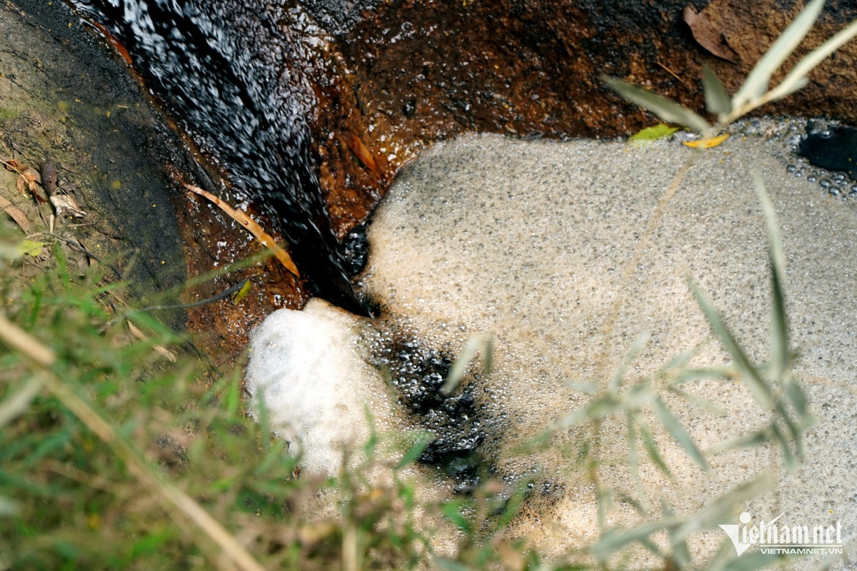 Nước thải sủi bọt chảy thẳng ra môi trường. Ảnh: Lê Dương