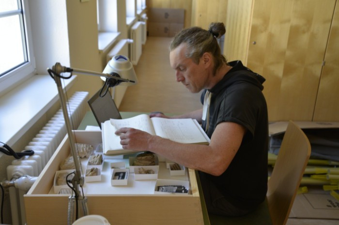 Một nghiên cứu quốc tế mới do một nhóm các nhà khoa học từ các viện nghiên cứu bao gồm Đại học Modena và Reggio Emilia (UNIMORE) và Đại học Goethe Frankfurt dẫn đầu đã phân tích răng hóa thạch của con voi ngà thẳng tìm thấy ở địa điểm Neumark-Nord, phía Đông Bắc nước Đức. Ảnh: Wil Roebroeks, Leiden University.