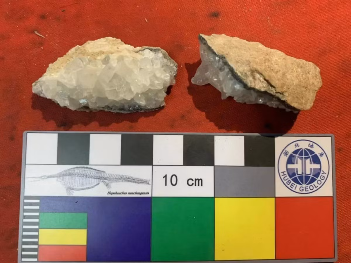 Đồng thời, những hóa thạch trứng khủng long trên hứa hẹn cung cấp nhiều thông tin quan trọng khi khí hậu Trái đất trải qua quá trình hạ nhiệt mạnh mẽ, có thể đã góp phần vào các mô hình tuyệt chủng của khủng long. Ảnh: Dr Bi Zhao.