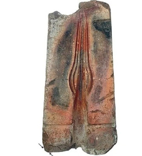 Hòn đá hình chữ nhật trông có vẻ bình thường được sử dụng làm một phần móng cho một nhà kho cũ trong khu vườn ở Cộng hòa Czech. Tuy nhiên, đó thực chất là một nửa của khuôn đúc mũi giáo hiếm hoi có từ thời Đồ đồng. Ảnh: M. Salaš et al. (2025); CC BY 4.0.