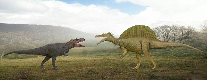 Cho đến nay, Spinosaurus mirabilis là loài thứ hai thuộc chi Spinosaurus được ghi nhận. Loài đầu tiên, Spinosaurus aegyptiacus, được mô tả từ năm 1915 dựa trên hóa thạch tìm thấy tại Ai Cập. Spinosaurus được nhiều người biết đến, đặc biệt sau khi xuất hiện trong loạt phim “Công viên kỷ Jura” nổi tiếng thế giới. Ảnh: Sameer Prehistorica.