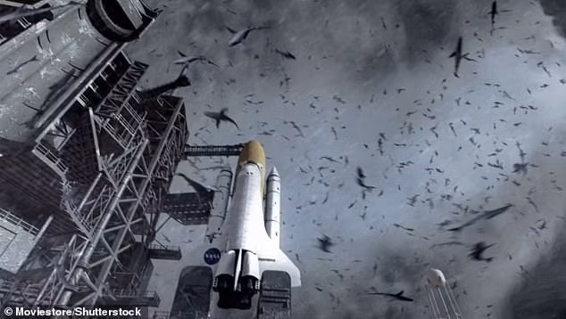 Ban đầu, anh Jonathan cứ nghĩ vừa bị một con cá bình thường rơi trúng đầu. Tuy nhiên, khi kiểm tra kỹ, anh nhận ra đó là một cá thể cá mập đầu búa non. Loài cá mập đầu búa nằm trong danh mục cực kỳ nguy cấp thuộc Sách Đỏ của Liên minh Bảo tồn Thiên nhiên Quốc tế. Ảnh: Moviestore/Shutterstock.