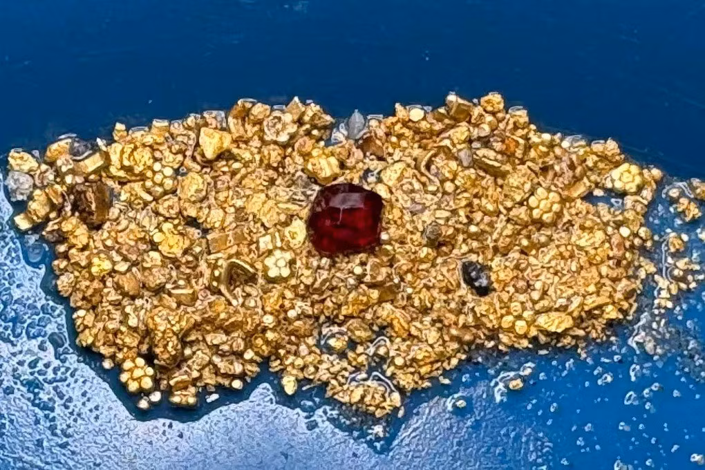 Các chuyên gia cho biết cả 2 loại tiền xu trên đều là tiền tệ phổ biến ở các thuộc địa Tây Ban Nha ở châu Mỹ. Ảnh: 1715 Fleet - Queens Jewels, LLC.