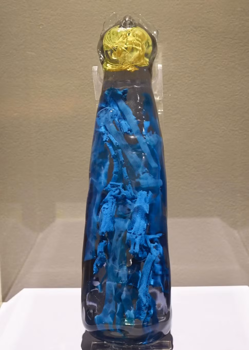 Kết quả chụp CT do các chuyên gia thực hiện đã phát hiện phần còn lại của 3 con mèo khác nhau trong một xác ướp mèo duy nhất. Các nhà khoa học từ Viện Nghiên cứu Khảo cổ Phòng ngừa Quốc gia Pháp (INRAP) đã tái tạo hình ảnh 3D bên trong xác ướp mèo. Ảnh: MBAR.