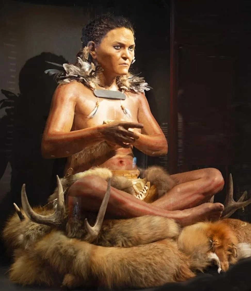 Những thông tin này được các chuyên gia tìm ra nhờ một kỹ thuật mới được phát triển có thể xác định dấu vết của tóc và lông vũ trong đất được thu thập từ các ngôi mộ cổ. Ảnh: Ylwa Moritz, Wikimedia Commons.