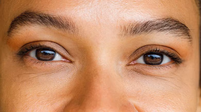 Ngoài ra, các gene liên quan đến việc vận chuyển nguyên liệu vào các "nhà máy sản xuất sắc tố" trong tế bào, gọi là melanosome, cũng đóng vai trò quan trọng làm thay đổi màu mắt. Những biến thể nhỏ trong các gene này có thể làm tăng hoặc giảm hiệu quả tạo melanin. Ảnh: Skynesher/Getty Images.