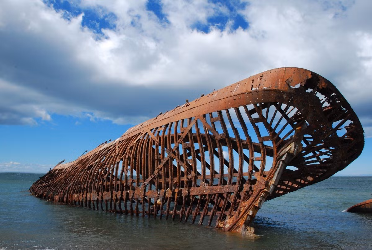 Theo các nhà khoa học, chuyển động thẳng đứng của không khí là một trong những nguyên nhân khiến nhiều sa mạc trên Trái đất nằm giáp với đại dương. Ảnh: tcsworldtravel.com.