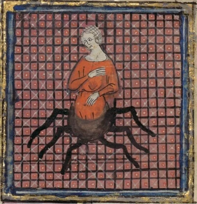 Nữ thần Athena còn nguyền rủa tất cả con cháu của Arachne cũng sẽ biến thành nhện. Đây được xem là hình phạt khắc nghiệt dành cho Arachne vì đã kiêu căng, ngạo mạn, dám thách thức thần linh. Ảnh: Wikimedia Commons.