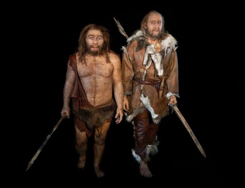 Trong nghiên cứu công bố trên tạp chí Science, các chuyên gia cho hay đàn ông Neanderthal và phụ nữ loài người hiện đại đặc biệt có xu hướng giao phối với nhau. Điều này giúp cung cấp hiểu biết về quá trình tiến hóa bộ gene của người hiện đại. Ảnh: S.PLAILLY/E.DAYNES/SCIENCE PHOTO LIBRARY.