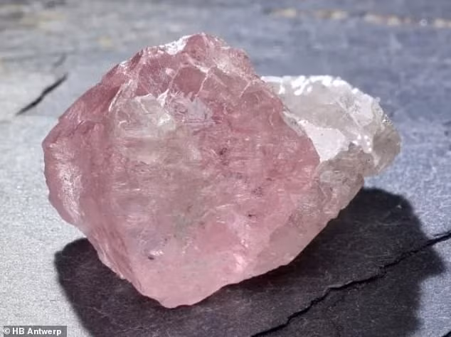 Kim cương hồng cực kỳ hiếm gặp và các nhà khoa học vẫn chưa biết chính xác chúng được hình thành như thế nào. Kim cương được hình thành từ độ sâu hơn 160 km bên dưới bề mặt Trái đất, bên trong lớp phủ. Nhiệt độ và áp suất cực cao liên kết các nguyên tử carbon lại với nhau thành một mạng lưới chặt chẽ và cấu trúc này có thể nhanh chóng trồi lên bề mặt thông qua hoạt động núi lửa, tạo ra những viên kim cương thô. Ảnh: HB Antwerp.