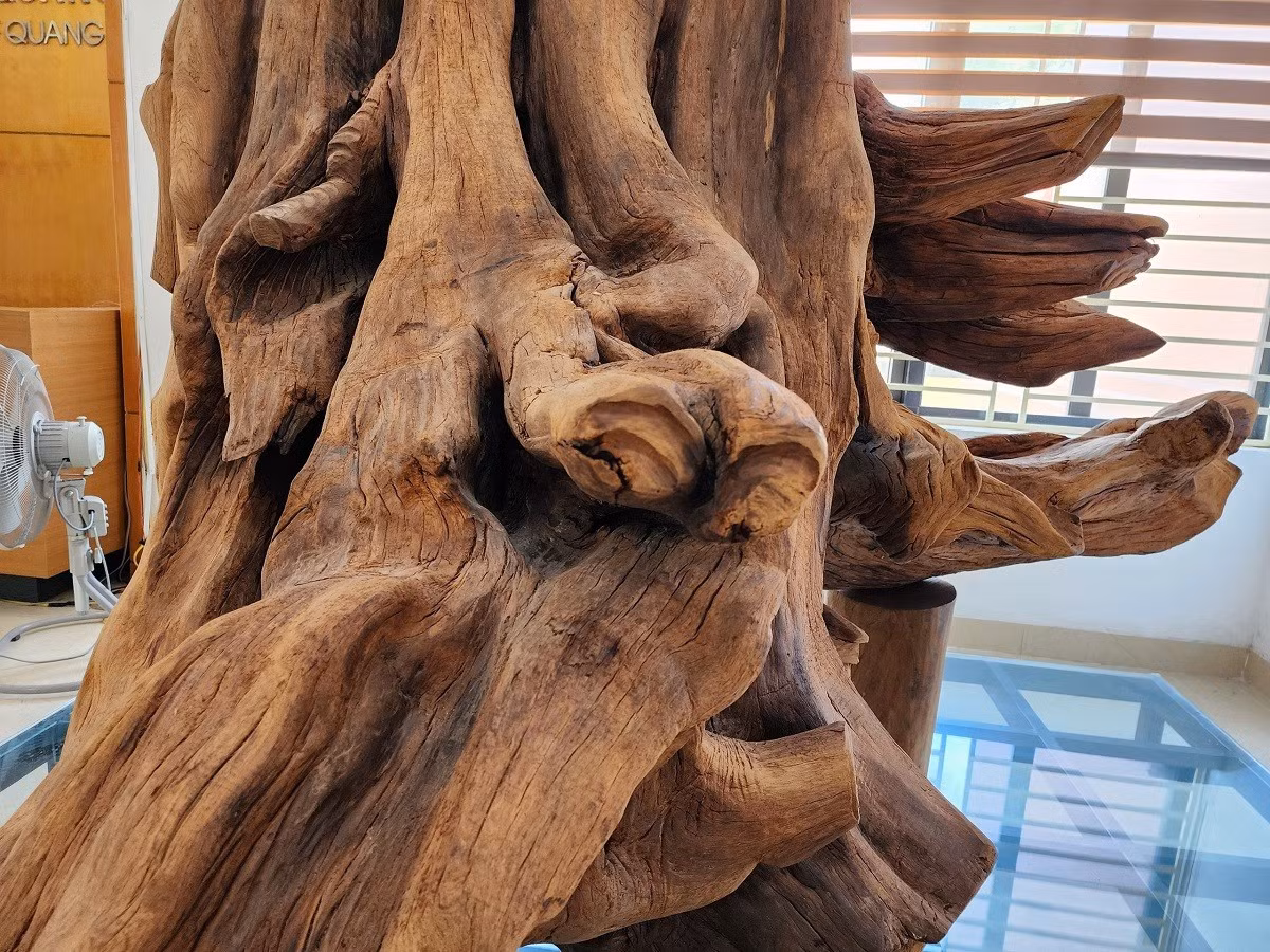 Từng được xem là loại gỗ “quý tộc”, chỉ có những gia đình vua chúa, quyền thế và giàu có mới có thể sở hữu những đồ dùng làm từ gỗ sưa quý hiếm. Ảnh: Vietnamnet.