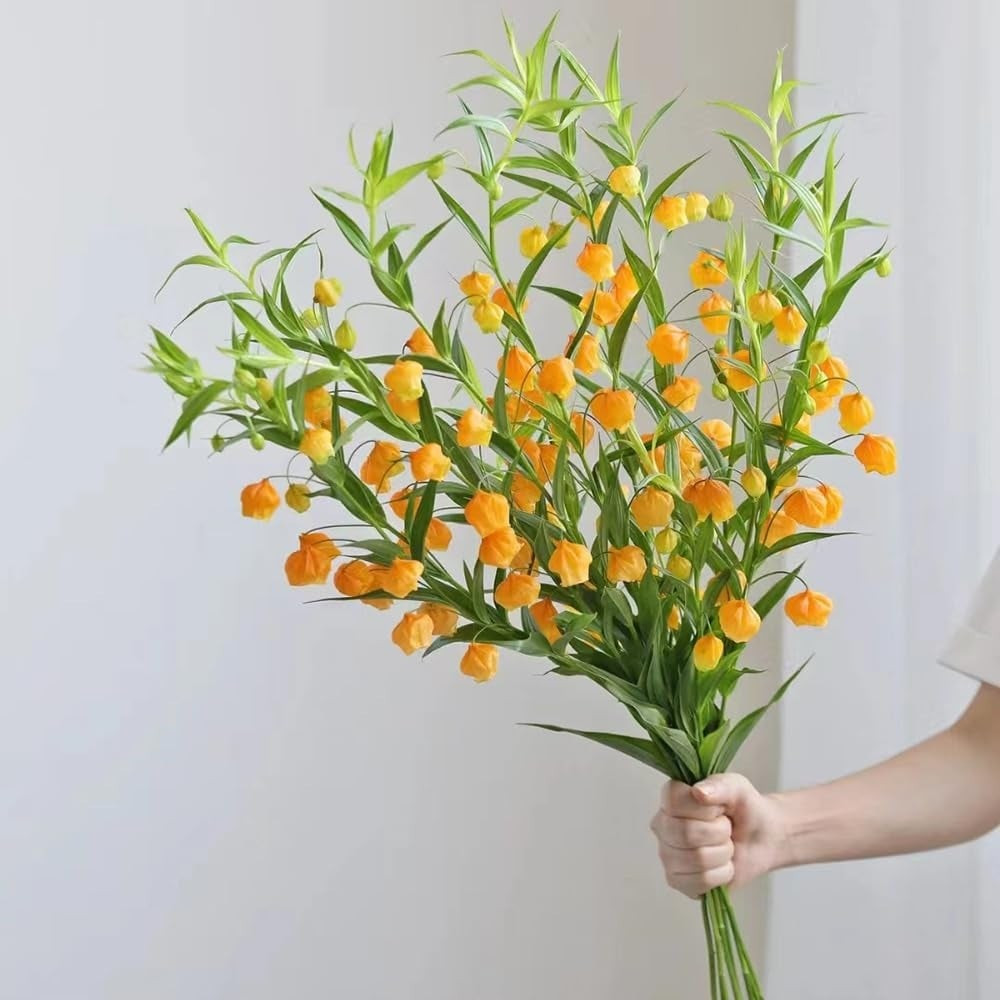 Vẻ đẹp lay động mọi giác quan: Tuy không tỏa hương, nhưng chính hình dáng và màu sắc rực rỡ của hoa mang đến cảm xúc thư thái và dễ chịu lạ thường.