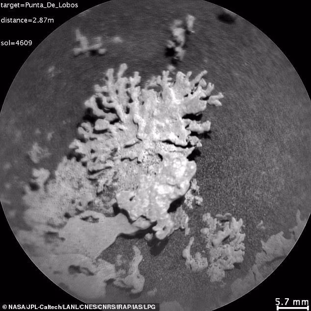 Theo NASA, tảng đá có hình giống san hô trên Trái đất có kích thước nhỏ, màu sáng, bị gió bào mòn qua thời gian. Vật thể này được tàu thám hiểm tìm thấy bên trong hố Gale của hành tinh đỏ vào ngày 24/7 vừa qua. Ảnh: NASA.