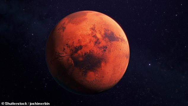 Tảng đá có hình dáng "kỳ lạ" này rộng khoảng 2,5 cm với các nhánh phức tạp. NASA cho biết tảng đá có hình giống san hô có thể được hình thành từ hàng tỷ năm trước khi nước từng chảy trên bề mặt sao Hỏa. Ảnh: Shutterstock/joshimerbin.