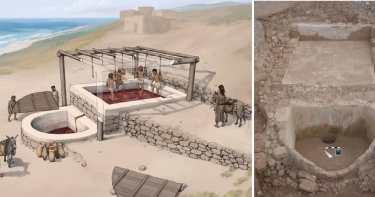 Cơ sở sản xuất rượu này bao gồm một bể hình chữ nhật có kích thước 3,2 x 3,5m, được kết nối bằng một kênh với một thùng hình bán nguyệt có khả năng chứa khoảng 4.500 lít, nơi nước nho trải qua quá trình lên men ban đầu. Ảnh: Ancient origins.