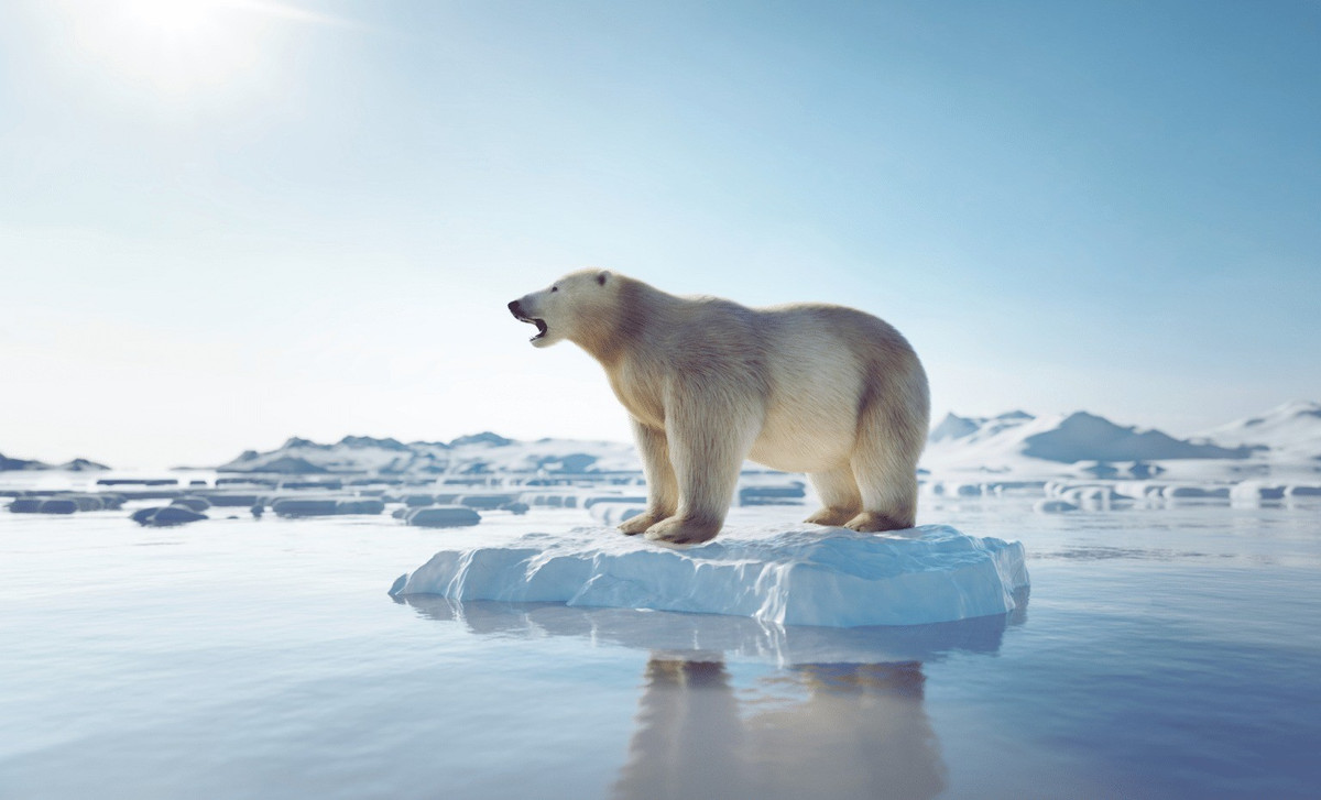 Mặc dù các sông băng nhỏ tan chảy có thể ít ảnh hưởng đến mực nước biển dâng nhưng các nhà khoa học cảnh báo sự biến mất của chúng vẫn có thể gây tổn hại đáng kể đến từ du lịch hoặc văn hóa địa phương. Ảnh:Canva | Indian Defence Review.