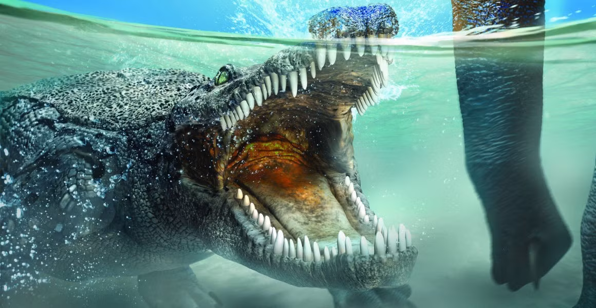 Giáo sư Hesham Sallam của Đại học Mansoura (Ai Cập), đồng tác giả nghiên cứu, cho biết hóa thạch của Wadisuchus kassabi đã được khai quật gần ốc đảo Kharga và Baris ở sa mạc phía Tây Ai Cập. Ảnh: Masato Hattori.