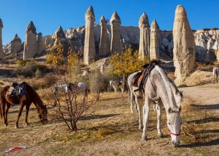 Một truyền thuyết kể về các "ống khói cổ tích" ở Cappadocia. Tương truyền, các vị thần sống ở dưới lòng đất vào thời cổ đại. Những cột đá kỳ thú chính là ống khói từ nhà ở của các vị thần. Ảnh: cappadociatravelpass.