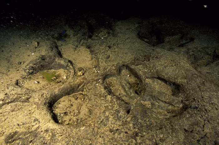 Sherif Fathi, Bộ trưởng Bộ Du lịch và Cổ vật, gọi khám phá này là “cột mốc đáng chú ý” trong nỗ lực bảo tồn di sản văn hóa của Ai Cập. Ảnh: alchetron.com.