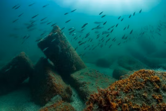 Trong số những hiện vật được trục vớt có một bức tượng nhân sư bằng đá thạch anh mang khắc hình ảnh của pharaoh Ramesses II nổi tiếng Ai Cập. Ảnh: tumblr.