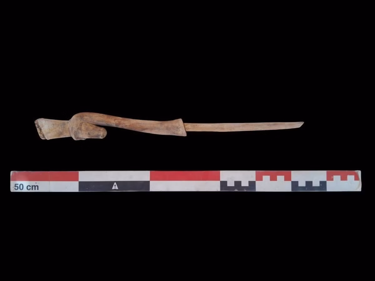 Một trong những ngôi mộ thuộc về một người đàn ông có tên là "Amun-Em-Ipet", người đã phục vụ trong một ngôi đền hoặc điền trang dành riêng cho Amun - vị thần gắn liền với Thebes cổ đại. Người đàn ông này sống trong triều đại thứ 19 (khoảng năm 1295 trước Công nguyên đến năm 1186 trước Công nguyên). Đây là thời điểm Ai Cập kiểm soát vùng lãnh thổ trải dài từ Syria đến Sudan. Ảnh: Courtesy of the Egyptian Ministry of Tourism and Antiquities.