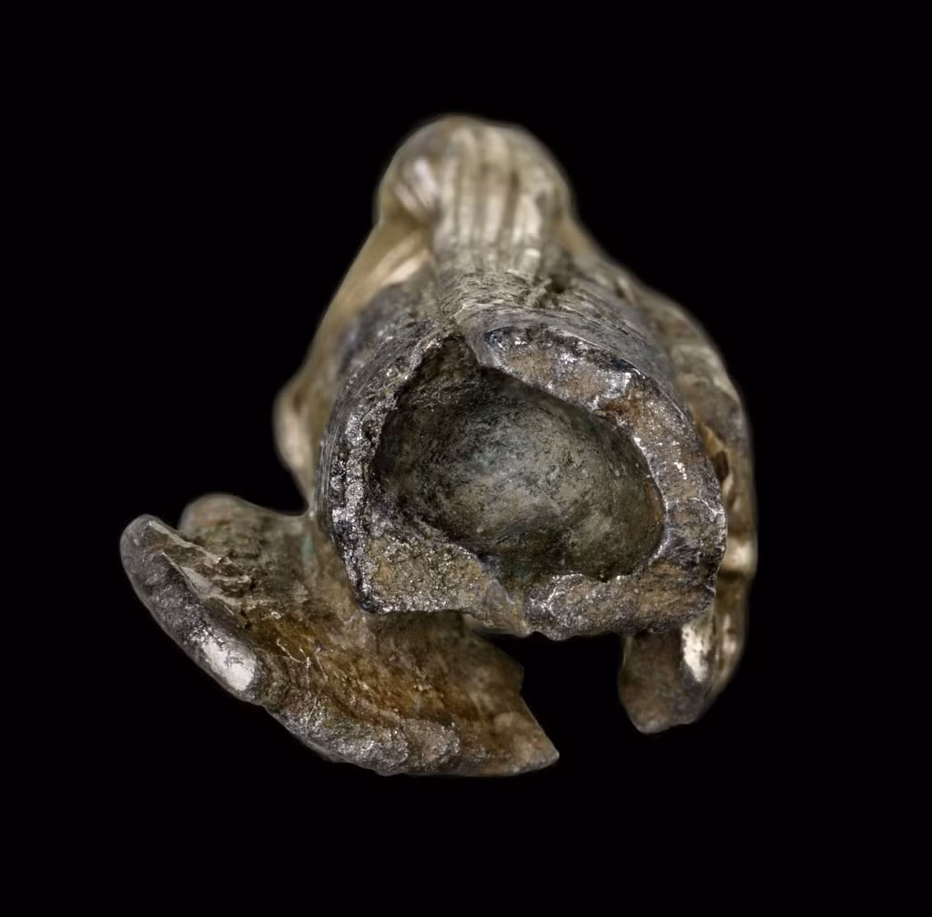 Các nhà nghiên cứu cũng suy đoán bức tượng tạc hình ảnh không phải Valkyrie mà một phụ nữ Viking cầm vũ khí chiến đấu. Nhiều truyền thuyết, thơ ca Bắc Âu đề cập đến việc phụ nữ thỉnh thoảng cầm vũ khí như kiếm, giáo... và có thể chiến đấu như nam giới. Ảnh: John Lee – Nationalmuseet – CC BY-SA 07.