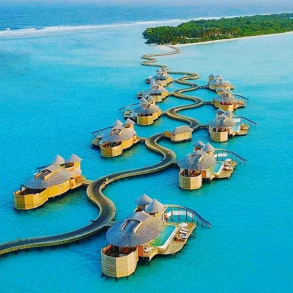 Nền văn hóa của Maldives có sự pha trộn giữa người Nam Ấn, người Sinhalese và người Ả Rập. Ảnh: steemit.com.