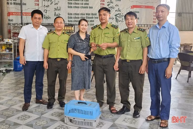 Loài rùa Sa Nhân cũng được liệt kê trong Sách đỏ của Liên minh Bảo tồn Thiên nhiên Quốc tế (IUCN) 2012 và cần được bảo vệ khẩn cấp. Ảnh: Báo Hà Tĩnh.