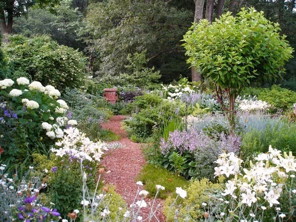 Việc hiểu rõ cơ chế phản ứng này là yếu tố quan trọng trong bối cảnh biến đổi khí hậu ngày càng ảnh hưởng rõ rệt. Nếu cây trồng phát triển không đúng thời điểm có thể ra hoa quá sớm, có nguy cơ bị sương giá... Những điều này có thể ảnh hưởng tới an ninh lương thực và đa dạng sinh học. Ảnh: Andrew Grossman.