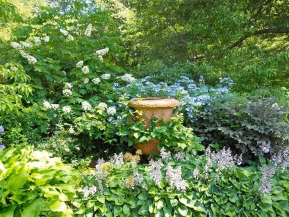 Tuy nhiên, giới khoa học hiện tranh luận liệu thực vật phản ứng chủ yếu với độ dài ngày hay nhiệt độ tích lũy. Tiến sĩ Van der Meersch cho rằng yếu tố nhiệt có thể đóng vai trò quan trọng hơn bởi vì sự tích lũy nhiệt quanh thời điểm Hạ chí dường như là tín hiệu rõ ràng hơn về điều kiện mùa vụ. Ảnh: Andrew Grossman.