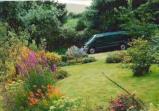 Theo nghiên cứu, các nhà khoa học phát hiện nhiều loài cây, trong đó có cây sồi, bắt đầu điều chỉnh chiến lược phát triển ngay sau ngày hạ chí - thời điểm ban ngày đạt cực đại trong năm tại bán cầu Bắc. Ảnh: plant-world-gardens.co.uk.