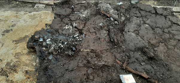 Đầm lầy Duvensee, nằm ở huyện Herzogtum Lauenburg thuộc miền Bắc nước Đức, được coi là một trong những khu vực khảo cổ quan trọng nhất ở Bắc Âu để nghiên cứu về thời Đồ đá giữa sơ kỳ. Địa điểm này chứa nhiều dấu vết hoạt động của con người từ thời điểm các nhóm săn bắn hái lượm bắt đầu định cư gần các hồ hình thành sau khi các sông băng rút lui. Ảnh: LEIZA / Harald Lübke / CC BY-SA.