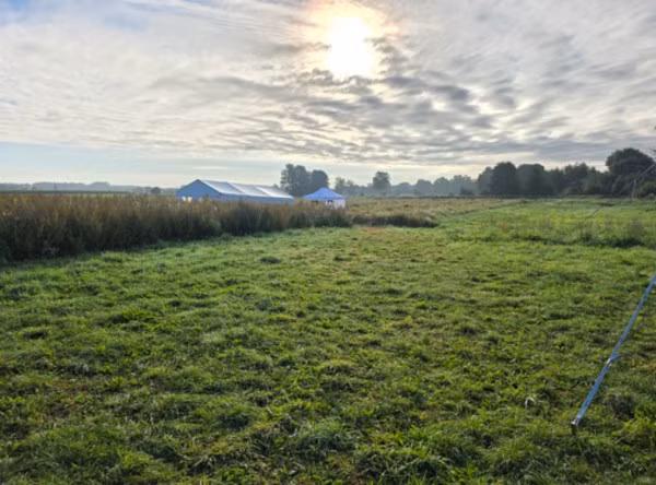 Theo các nhà nghiên cứu, hộp sọ "quái thú" này từng được đặt trên một cột gỗ gần nơi được cho là địa điểm chôn cất hỏa táng cổ nhất được biết đến ở miền Bắc nước Đức. Khám phá này mở ra một cái nhìn hiếm hoi và phi thường về đời sống nghi lễ, tôn giáo thời Đồ đá giữa vào khoảng 10.500 năm trước. Ảnh: LEIZA / Harald Lübke / CC BY-SA.