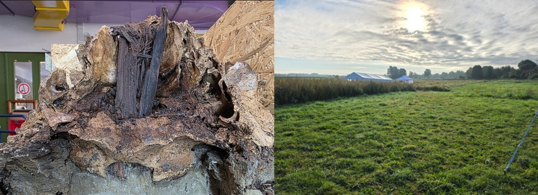 Hộp sọ của một con bò rừng hoang dã được tìm thấy gần một khu mộ hỏa táng có niên đại khoảng 10.500 năm tuổi. Theo đó, nơi này trở thành ngôi mộ hỏa táng lâu đời nhất được biết đến ở miền Bắc nước Đức. Các ngôi mộ hỏa táng từ giai đoạn đầu của kỷ Holocene cực kỳ hiếm gặp trên khắp châu Âu. Đến nay, chỉ có 2 phát hiện tương tự được biết đến (ở Hà Lan và Đan Mạch) nhưng những mộ cổ này đều được bảo quản kém hơn nhiều. Ảnh: Museum of Archaeology, Gottorf Castle / Corinna Mayer/LEIZA / Harald Lübke / CC BY-SA.