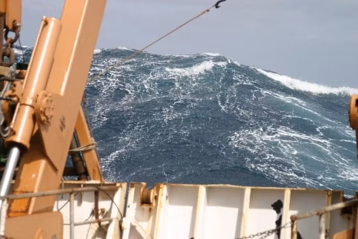 Mỗi ghi chép mô tả chi tiết hoạt động của sóng độc trong 30 phút bao gồm: độ cao, tần suất và phương hướng. Kết luận của nhóm nghiên cứu thách thức giả định tồn tại từ lâu cho rằng cơ chế hình thành sóng độc là hiện tượng mang tên "bất ổn định điều biến". Ảnh: Personnel of NOAA ship ‘Delaware II,’ Flickr // CC BY 2.0.
