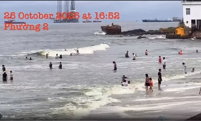 Đến ngày 5/11, Viện Khoa học sự sống gửi kết quả chính thức xác định nguyên nhân nước biển đổi màu. Kết quả cho thấy nước biển ở đây xuất hiện của tảo Noctiluca scintillans (còn gọi là tảo Noctiluca), với mật độ khoảng 80 tế bào/ml nước biển. Ảnh: Người lao động.