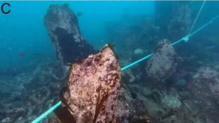 Trung bình, mỗi bức tường đá rộng gần 20m và cao khoảng 1,8m so với đáy biển. Ảnh: SAMM.