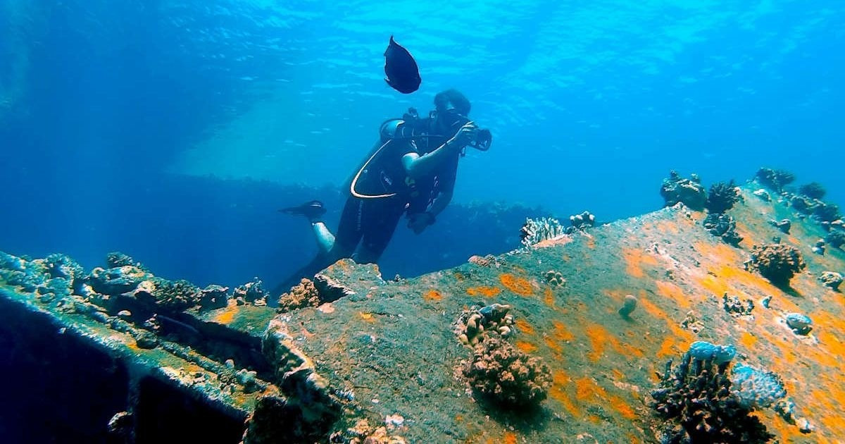 Khi mực nước biển dâng cao nhanh chóng và người dân buộc phải bỏ lại khu định cư đã bị đại dương nhấn chìm, họ rất có thể đã lưu truyền những câu chuyện về thành phố - nơi họ từng ở. Ảnh: Pexels | Ayden Zaki.