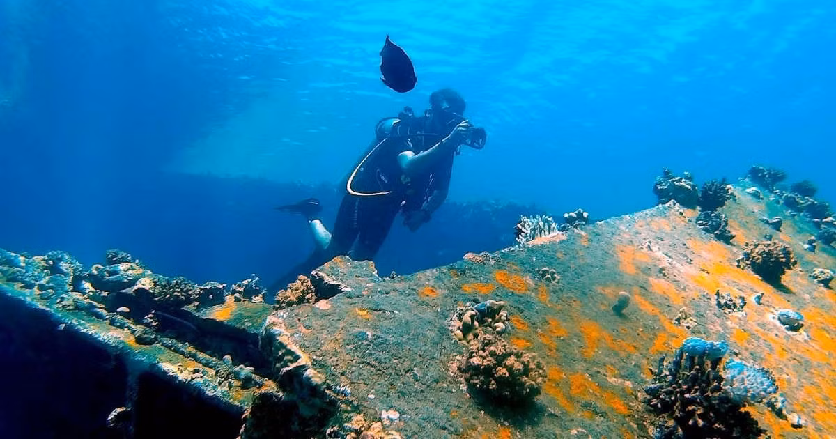 Khi mực nước biển dâng cao nhanh chóng và người dân buộc phải bỏ lại khu định cư đã bị đại dương nhấn chìm, họ rất có thể đã lưu truyền những câu chuyện về thành phố - nơi họ từng ở. Ảnh: Pexels | Ayden Zaki.