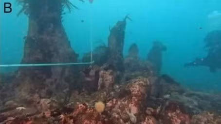 Các tàn tích bằng đá granite bị nhấn chìm dưới nước có niên đại 7.000 năm tuổi có kích thước khác nhau. Chúng có thể từng được sử dụng như một bẫy đánh bắt cá hoặc một con đê để chắn chống lại mực nước biển dâng cao. Ảnh: SAMM.