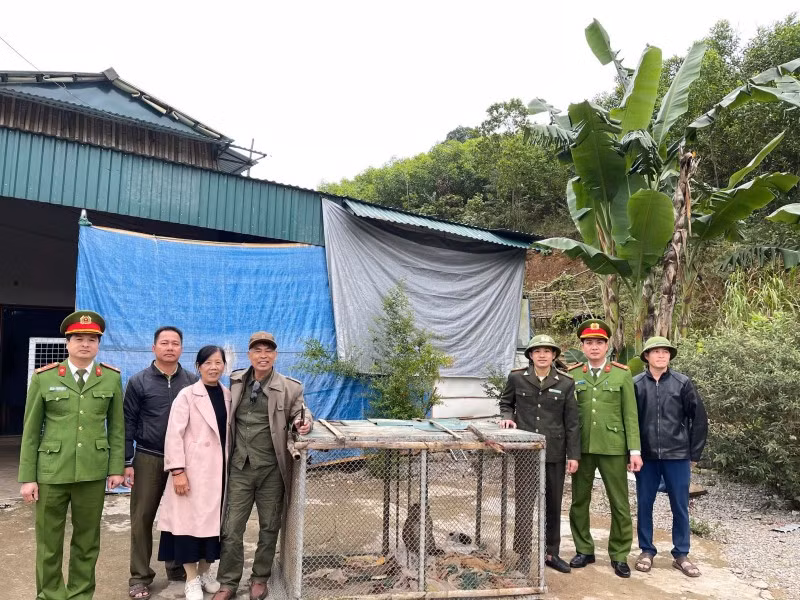 Trước đó, qua công tác đảm bảo an ninh trật tự, Công an xã Xuân Thái phát hiện gia đình ông Lê Văn Đ. (ngụ thôn Yên Vinh, xã Xuân Thái) đang nuôi nhốt 2 cá thể khỉ gồm: 1 cá thể khỉ mốc và 1 cá thể khỉ đuôi dài. Ảnh: Công an Nhân dân.