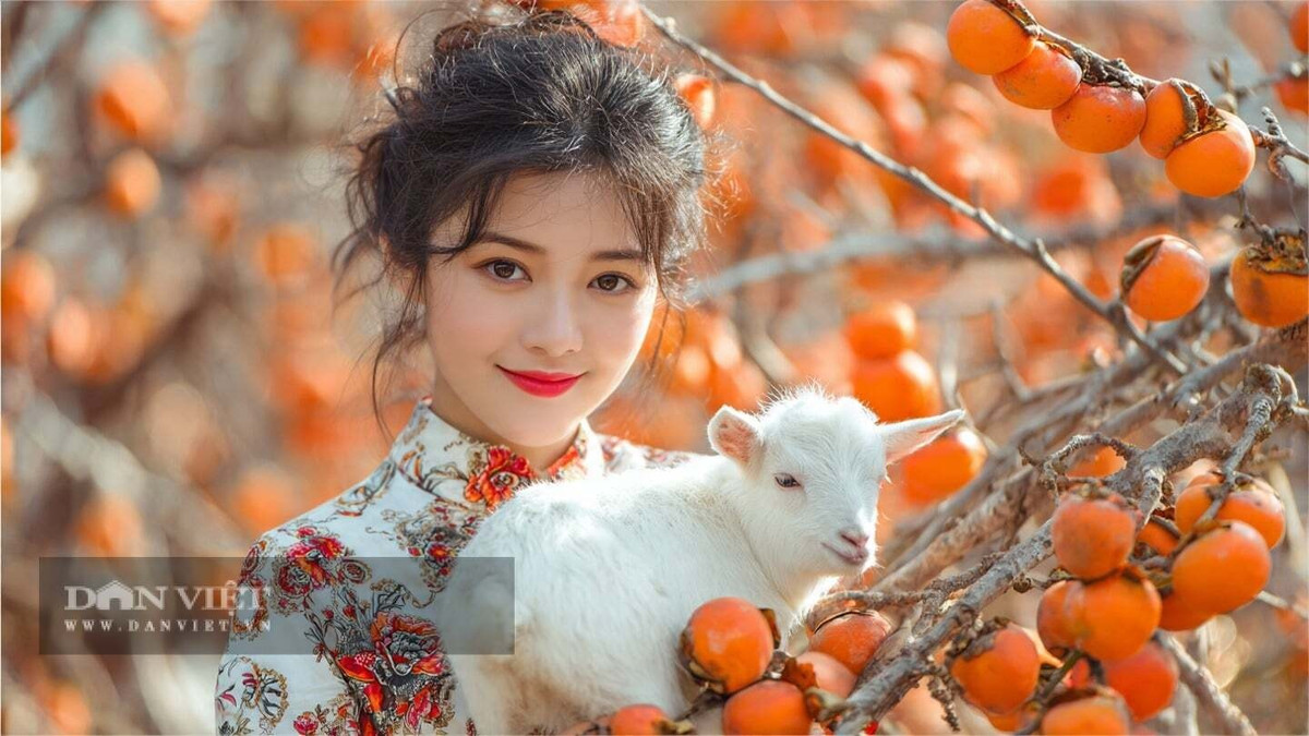 Bắt đầu từ tháng 1 năm 2026, những người tuổi Mùi sẽ bước vào thời kỳ may mắn nhờ sự giúp đỡ của những người bảo trợ. Không chỉ có khả năng nhận được những khoản tiền bất ngờ, mà họ còn có thể đạt được sự giàu có ngoài mong đợi trong sự nghiệp.