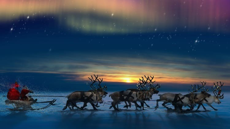 Mới đây, chia sẻ trên TikTok, một phụ nữ có tên Pandora Dewan - người thường xuyên chia sẻ các video về khoa học - gây xôn xao dư luận khi cho rằng, tất cả tuần lộc của ông già Noel có thể đều là con cái. Ảnh: parade.com.