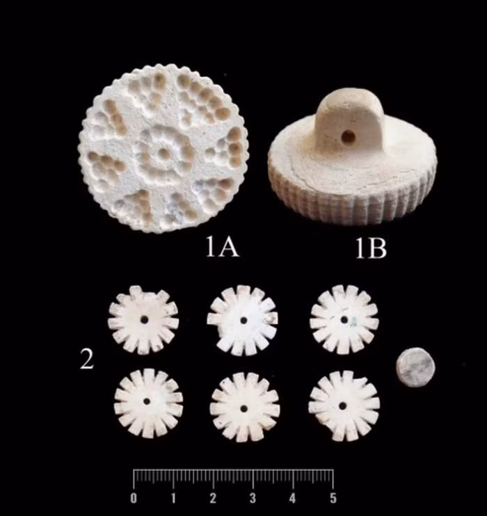 Ngôi mộ của thiếu nữ trên được đánh dấu là "ngôi mộ số 12", được phát hiện năm 2013. Nghiên cứu mới công bố là lần đầu tiên những mô tả chi tiết về mộ cổ này được công khai. Theo nhóm nghiên cứu, thiếu nữ được chôn cất trong tư thế khom người, nằm nghiêng về bên phải, mặt quay về hướng đông nam. Thời điểm chôn cất là vào cuối thiên niên kỷ thứ 3 trước Công nguyên. Ảnh: Vahdati et al. 2025.