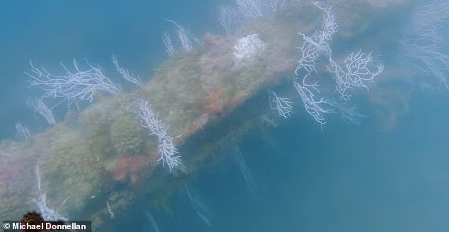 Mới đây, nhà khảo cổ độc lập Ben van Kerkwyk gần đây chia sẻ về khám phá ngoài khơi bờ biển Tây Ban Nha có thể chính là nơi tọa lạc thành phố Atlantis huyền thoại mà giới khoa học tìm kiếm suốt nhiều năm qua. Ảnh: Michael Donnellan.